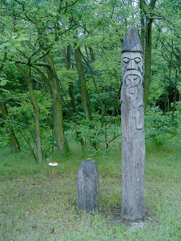 20100604 001.jpg